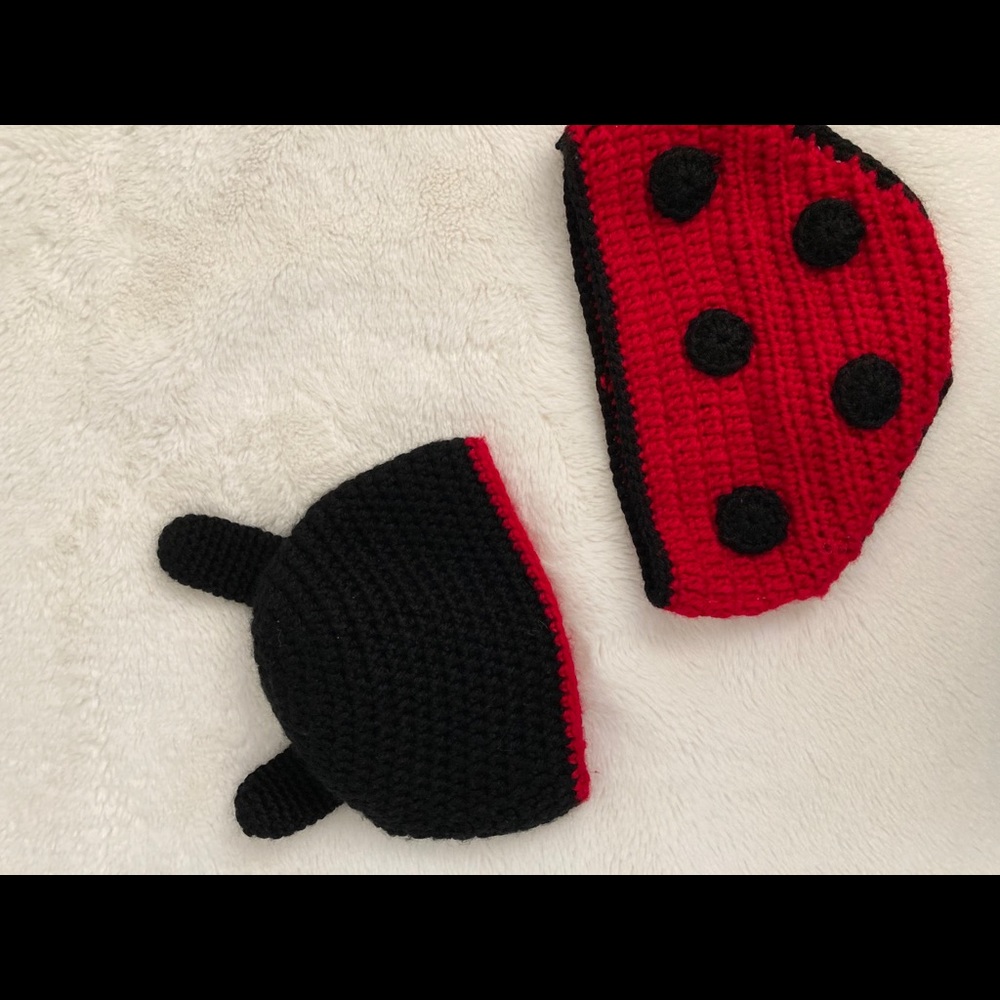 Newborn ladybug costume